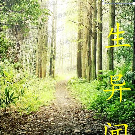 长生异闻